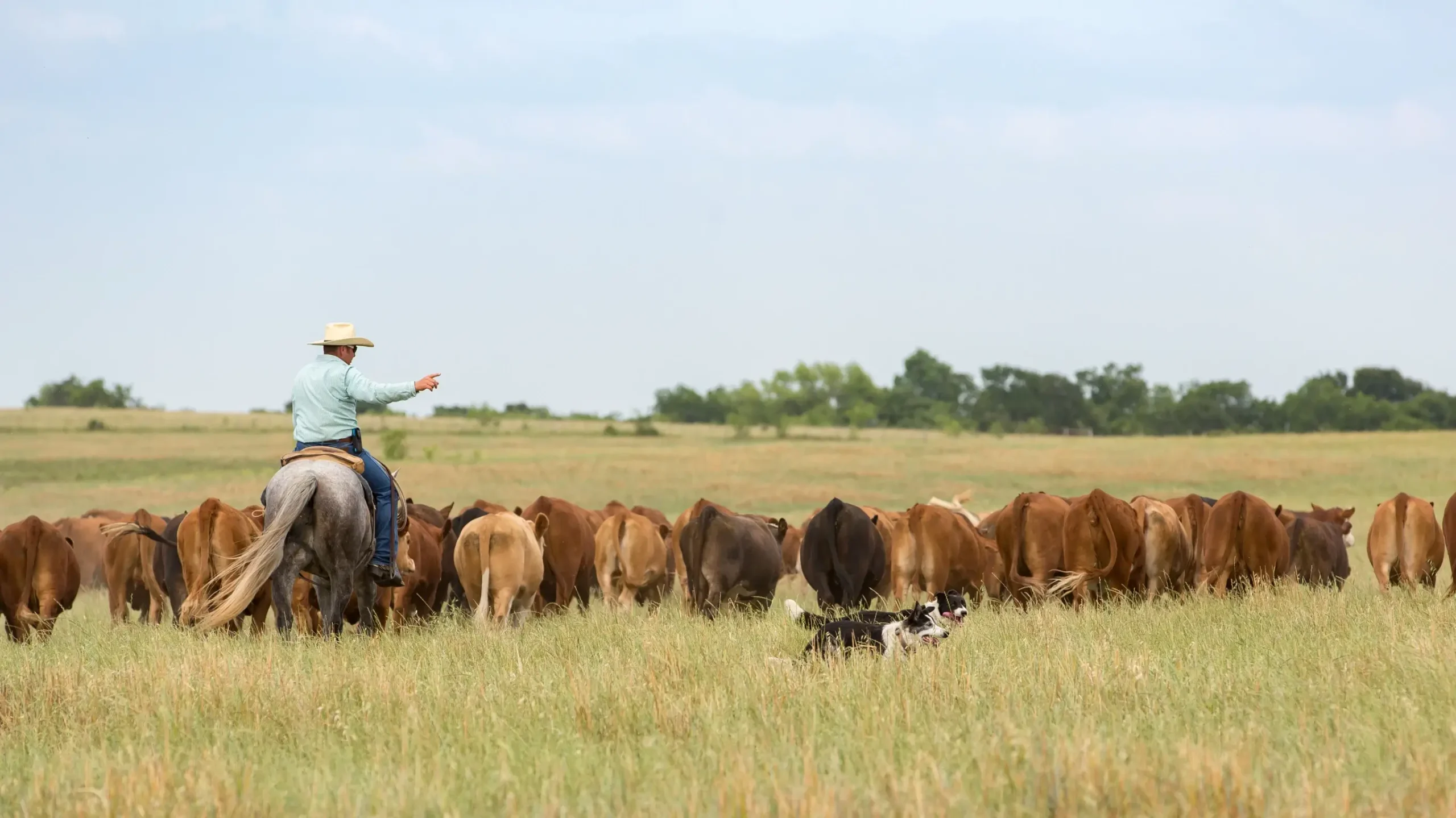 Working Farm Ranch Multigenerational Farm & Ranch Families | BentOak Capital | Texas ...